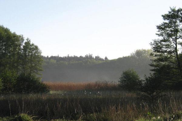 Fewo Ferien Am Schweriner See Flessenow Extérieur photo